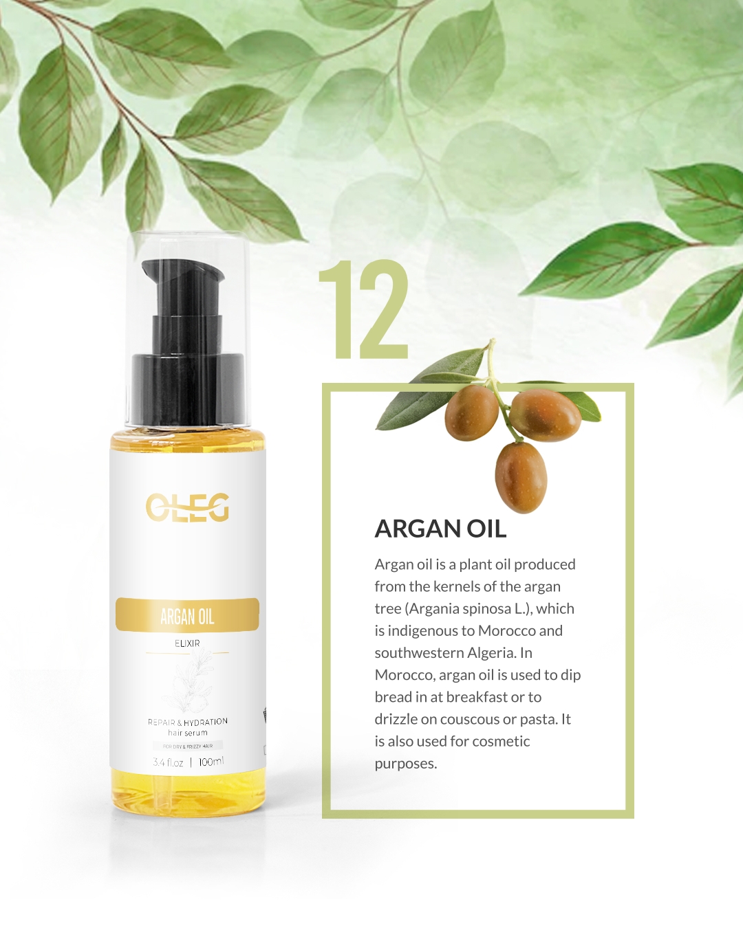 روغن ارگان جدید 100 میل اولگ